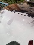 20190112_143743.jpg