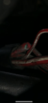 881C7B2C-A7CB-474F-A72F-512249C4C8C2.png