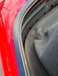 trim back 3.jpg